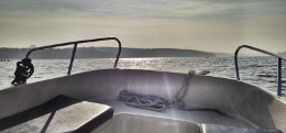 Daycruiser Nicki Sloep von TOP CHARTER auf dem Wasser